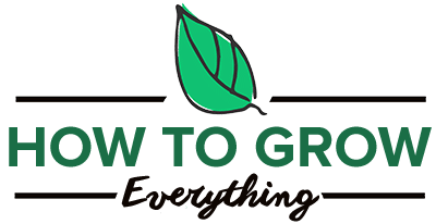 How To Grow Everything