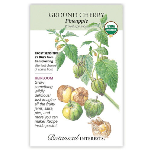 A seed packet of organic Pineapple Ground Cherry seeds