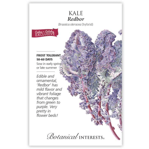 Botanical Interest's Redbor Kale seed packet.