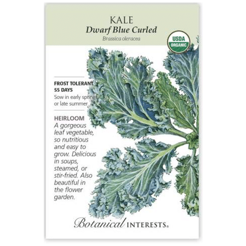 A photo of a packet of organic, heirloom, dwarf blue kale seeds.