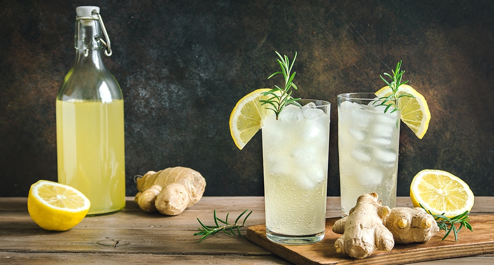 Ginger Bug Soda Recipes and Flavors