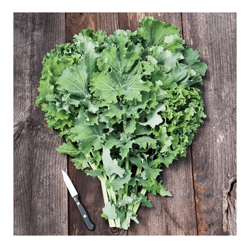 Picture of a bunch of siberian kale leaves on a wood cutting board
