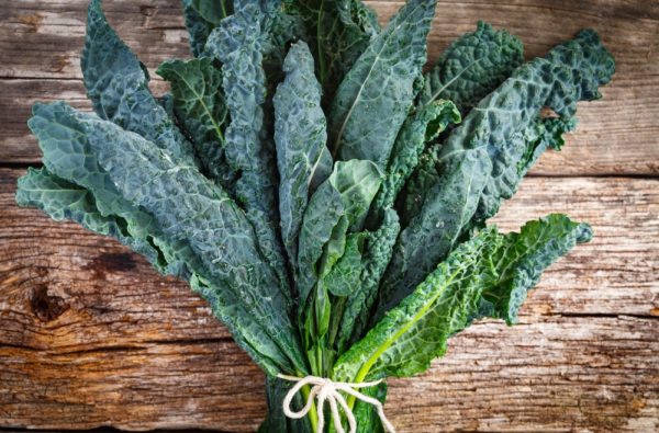 How to Plant, Grow, & Harvest Kale Like a Pro - How To Grow Everything