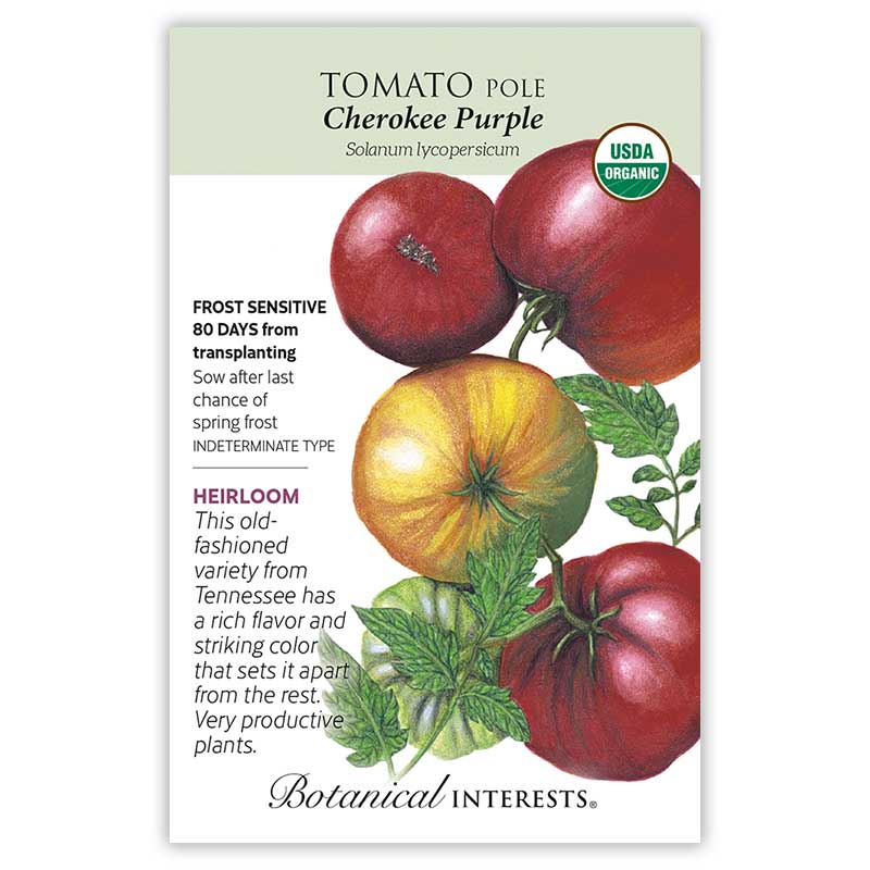 Tomato-Pole-Cherokee-botanical