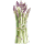 asparagus