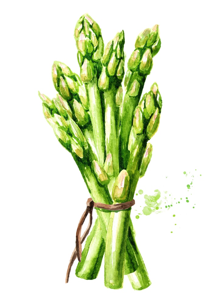 asparagus companion for strawberry