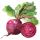 beets