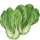 bok choy