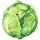 cabbage