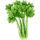 celery