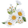 chamomile