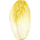 endive