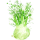 fennel