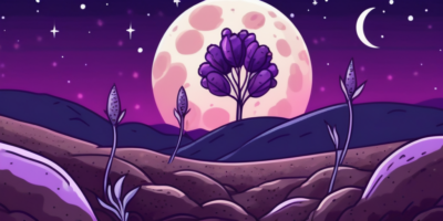 Purple carrot seeds being planted in fertile soil under a starry night sky