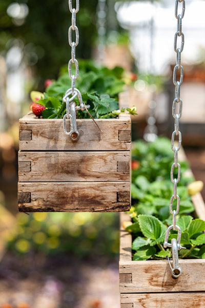 Upclose picture of a rectangular wooden hanging strawberry bed.