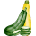 zucchini